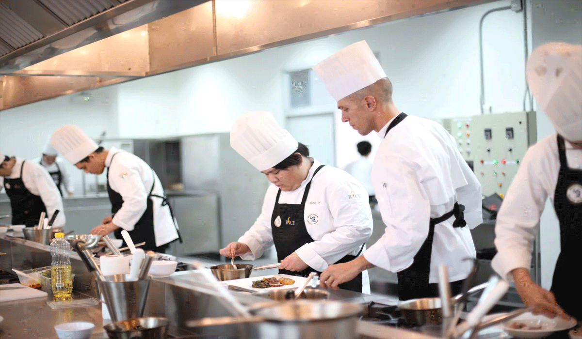 From Beginner to Professional: A Journey in Culinary School